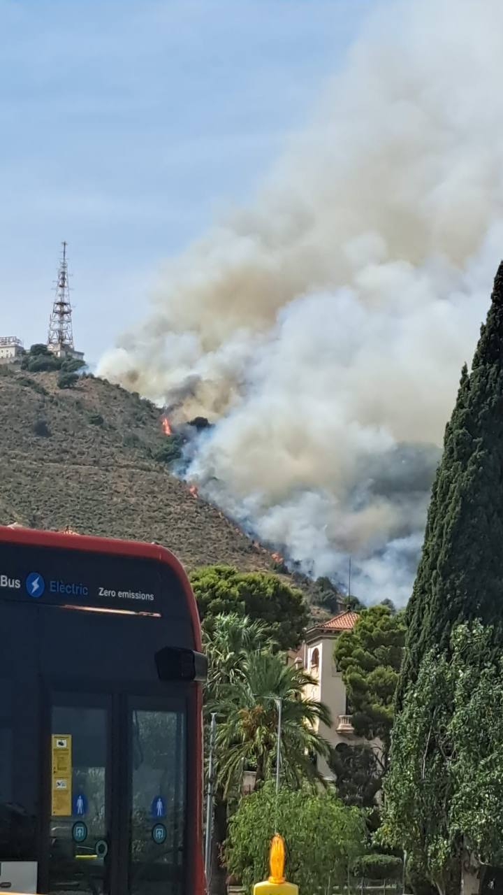 Columnes de fum de l'incendi de Sant Pere Màrtir vistes des d'Esplugues
