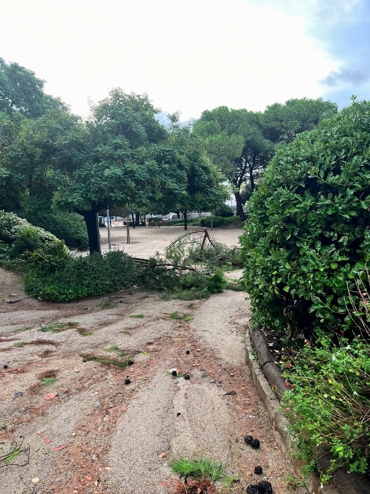 Danys de la tempesta al Parc 11 de Setembre d'Esplugues (1)
