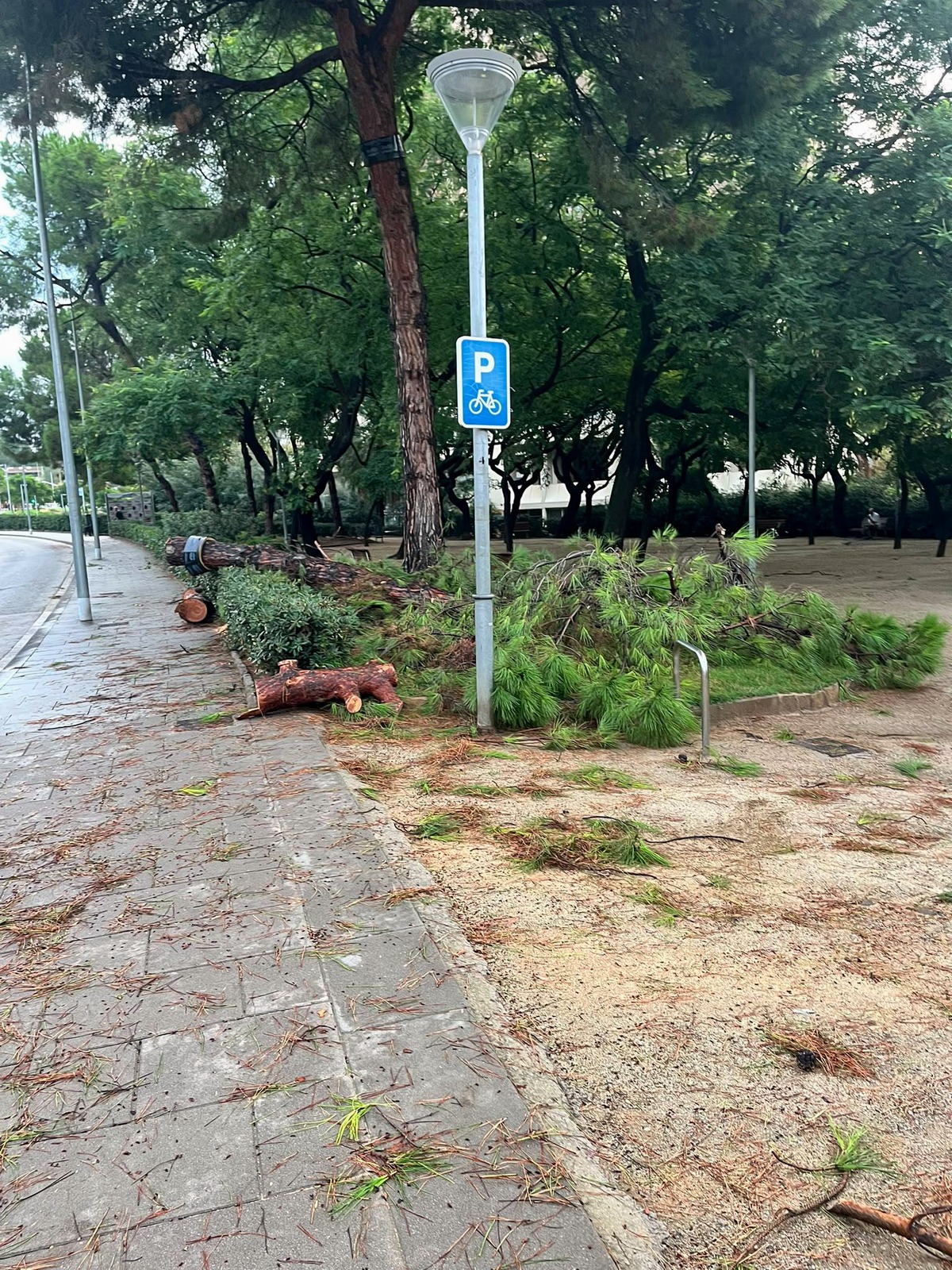 Danys de la tempesta al Parc 11 de Setembre d'Esplugues (2)